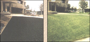 Grassroad pavers