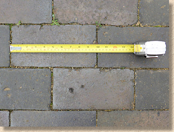 use ruler to indicate size use ruler to indicate size
