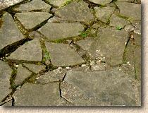 bad crazy paving