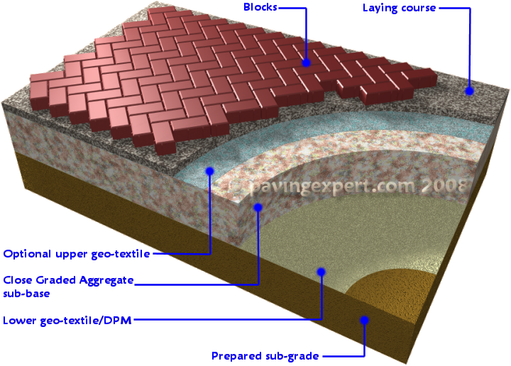 3d view of cbpp structure