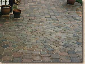 tegula circle