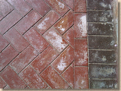 efflorescence on clay pavers