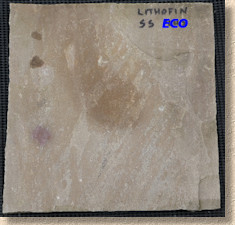 Lithofin Stain Stop Eco