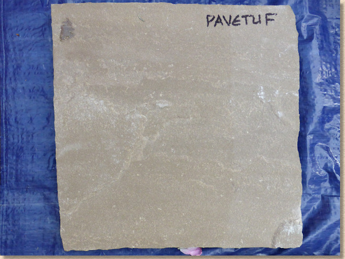 Pavetuf Pavetuf