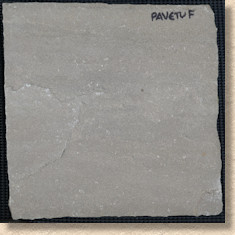 Pavetuf