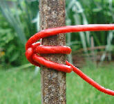 loop on pin