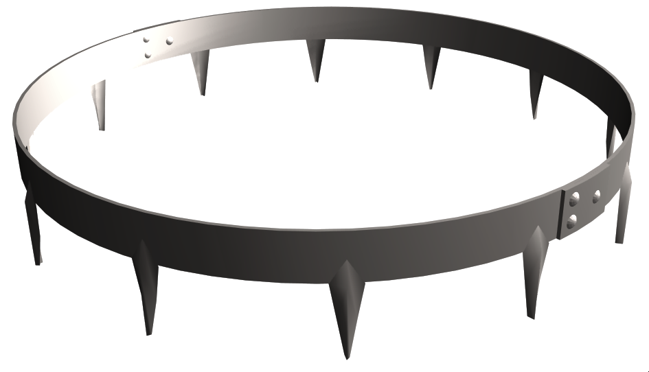 core edge tree ring