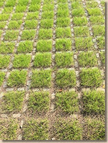 Cellpave HD filled with grass Cellpave HD filled with grass