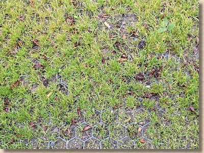 grass in grid pavers