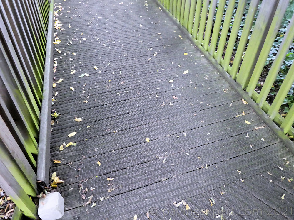 decking with chicken Wire