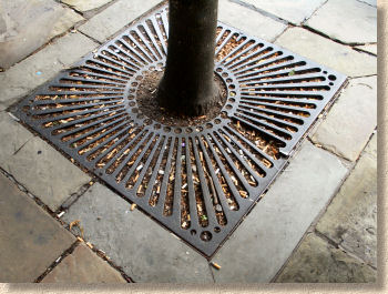 tree pit grille