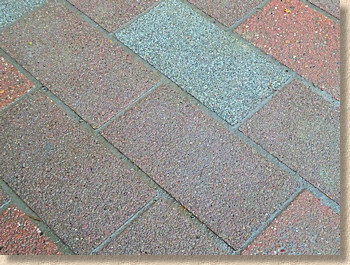 freshly jointed paving