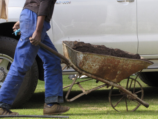 Barrow with iron wheel