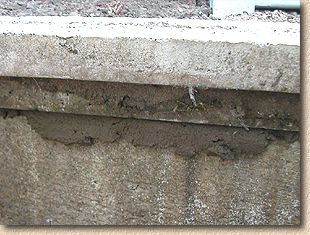 snot at mortar joint